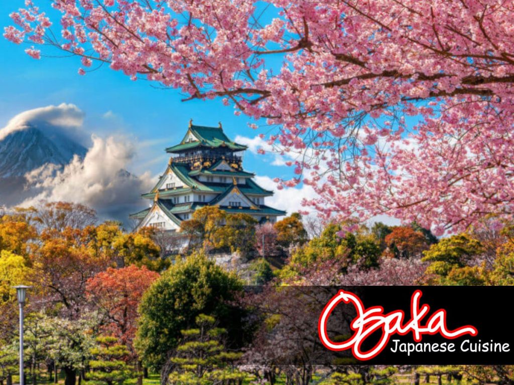 Vegan Dining in Japan: A Guide to the Best Options