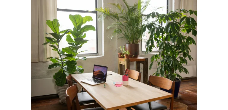 Artificial Plants for Desk: The Secret to a Fresh and Productive Office