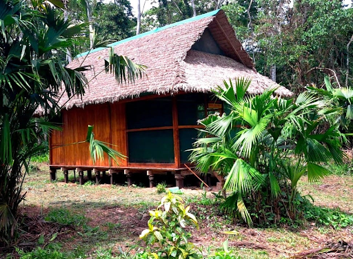 Manu Wildlife Lodges: Your Gateway to the Amazon’s Most Pristine Jungle