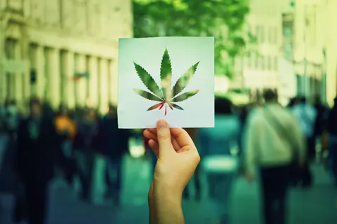 From Stigma to Acceptance: The Changing Public Perception of Cannabis Through History