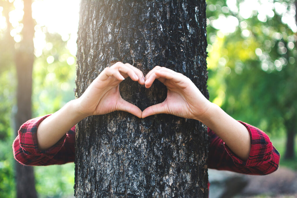 Understanding Common Tree Problems in Hamburg and the Role of Expert Care