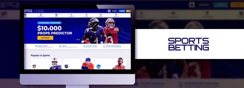 Best Betting Sites in UAE for Sports and Casino Enthusiasts