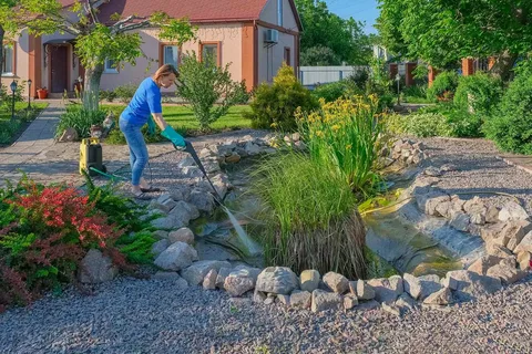 Pond Cleaning Surrey: Keeping Your Pond Healthy and Attractive